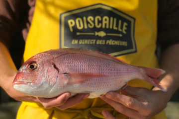 Les casiers Poiscaille permettent aux clients de redécouvrir des produits de la mer souvent délaissés. Crédit : Poiscaille